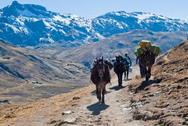 Quels sont les meilleurs itinéraires pour un trek dans les Andes ?