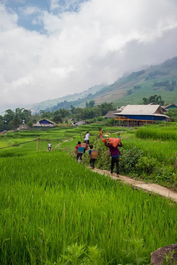 Comment organiser des vacances dans une ferme ?