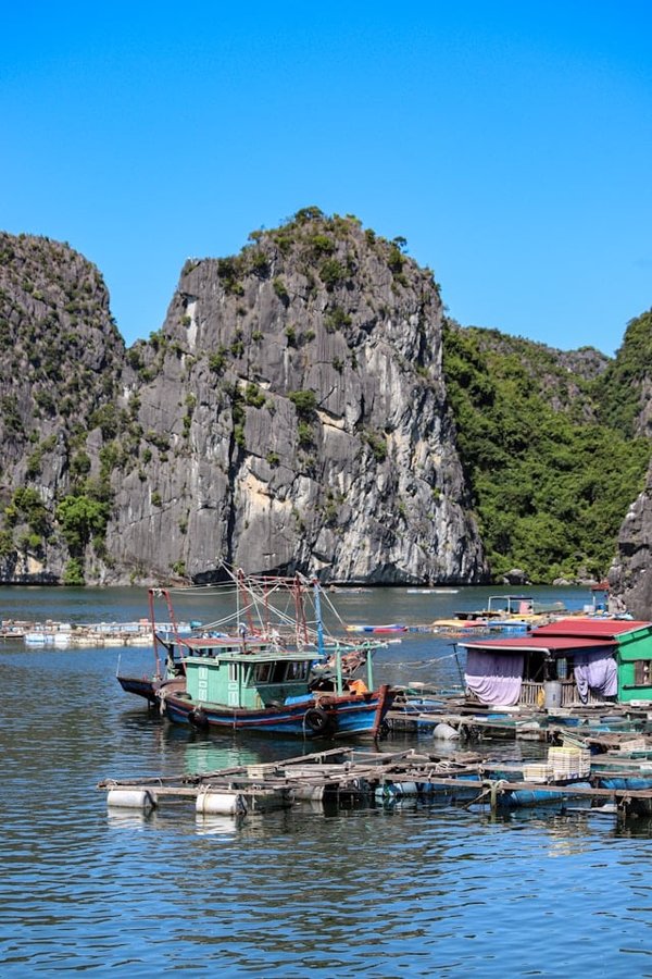 Quels sont les moyens de transport alternatifs pour des voyages écologiques ?